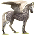 Pegasus-Reitpferd Marwari Mausgrau