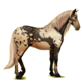 Reitpferd Andalusier Hellgrau