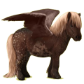 Pegasus-Pony Shetlandpony Rappe