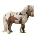 Pony Shetlandpony Brauner