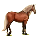 Reitpferd Andalusier Rotbrauner