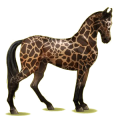 Pegasus-Reitpferd Marwari Mausgrau
