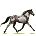 Reitpferd Orlow-Traber Brauner