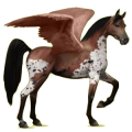 Pegasus-Reitpferd Araber Brauner
