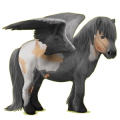 Pegasus-Pony Shetlandpony Apfelschimmel