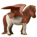 Pegasus-Pony Shetlandpony Fuchs