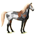 Reitpferd Mustang Palomino