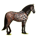 Reitpferd Andalusier Dunkelfuchs