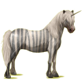 Einhorn-Pony Neufundland Pony Brauner