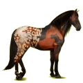 Reitpferd Andalusier Hellgrau