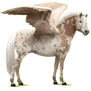 Pegasus-Pony Norweger Braunfalben