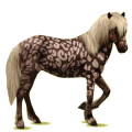 Reitpferd Brumby Fuchs mit heller Mähne