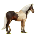 Reitpferd Andalusier Hellgrau