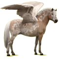 Pegasus-Pony Norweger Braunfalben