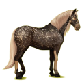 Pegasus-Reitpferd Andalusier Hellgrau