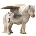 Pegasus-Pony Shetlandpony Rappe