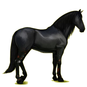 Reitpferd Paso Peruano Fuchs