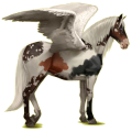 Pegasus-Reitpferd Andalusier Hellgrau