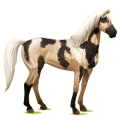 Reitpferd Mustang Palomino