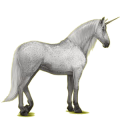 Einhorn-Reitpferd Lipizzaner Hellgrau