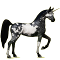 Einhorn-Reitpferd Araber Hellgrau