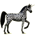 Einhorn-Reitpferd Araber Hellgrau