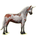 Einhorn-Pony Quarter Pony Brauner mit Tobiano-Scheckung