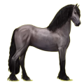 Pegasus-Reitpferd Friese Rappe