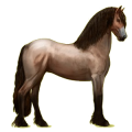 Reitpferd Friese Rappe