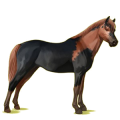 Pony Deutsches Reitpony Fuchs