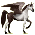 Pegasus-Reitpferd Araber Rappe