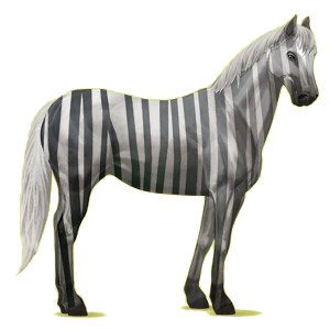 Reitpferd Paint Horse Rappe mit Overo-Scheckung