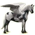 Pegasus-Pony Quarter Pony Rappe mit Overo-Scheckung