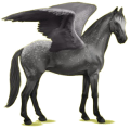 Pegasus-Reitpferd Trakehner Apfelschimmel