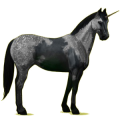 Einhorn-Reitpferd Paint Horse Palomino mit Tobiano-Scheckung
