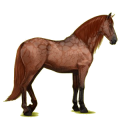 Pegasus-Reitpferd Andalusier Rotbrauner