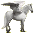 Pegasus-Reitpferd Andalusier Hellgrau