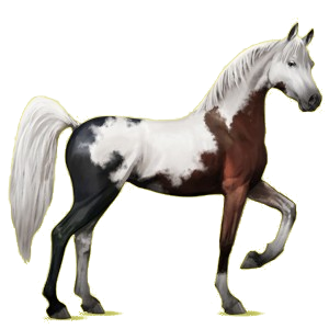 Pegasus-Reitpferd Araber Hellgrau