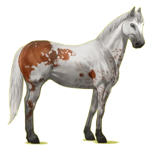 Pegasus-Reitpferd Paint Horse Brauner mit Tobiano-Scheckung