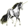 Einhorn-Pony Neufundland Pony Brauner
