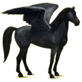 Pegasus-Reitpferd Mustang Hellgrau