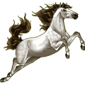 Reitpferd Araber Hellgrau