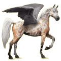 Pegasus-Reitpferd Araber Hellgrau