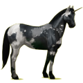 Einhorn-Reitpferd Paint Horse Brauner mit Tobiano-Scheckung