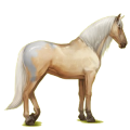 Reitpferd Andalusier Hellgrau
