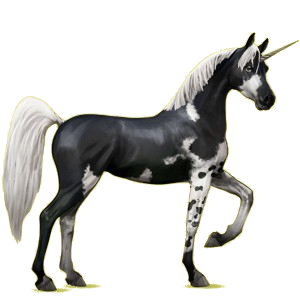 Einhorn-Reitpferd Araber Roan