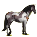 Reitpferd Andalusier Hellgrau