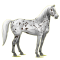 Pegasus-Reitpferd Mustang Roan