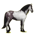 Pegasus-Reitpferd Andalusier Hellgrau