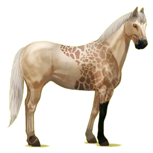 Reitpferd Paint Horse Rappe mit Overo-Scheckung